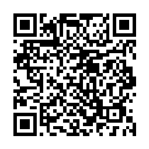 如果说真的有人能把他们从一生的残疾的困境中拉出来的话二维码生成