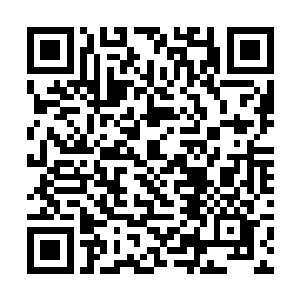 如果说眼前的悬崖其实不过就是为了欺骗世人的幻术二维码生成