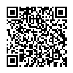 如果说老头儿直接是先老病死的这些人估计也不会有太多的想法二维码生成