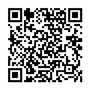 如果说观众口碑更多是对影片的票房走势有保证二维码生成