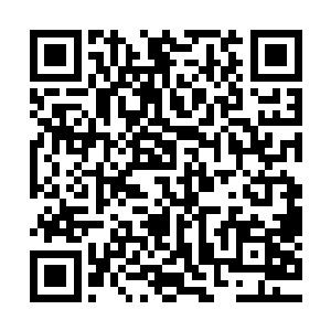 如果说这佛陀的身影是因为有人坐在莲花法台上才会显化出来二维码生成