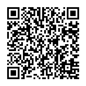 如果说连马文先生您都因为畏惧血色荒原的可怕而不愿意前往的话二维码生成