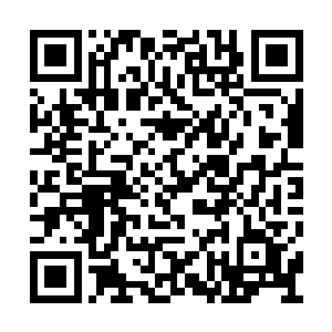 如果说那一座座自然或者因为外力而死去的乾坤二维码生成