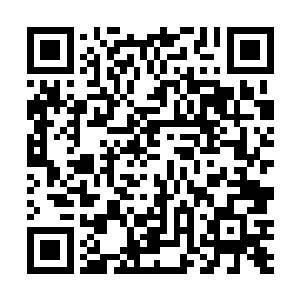 如果说那个恐怖的存在就是天尊口中所说的那位大人物二维码生成