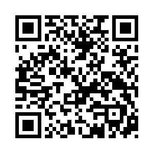 如果说那怪物是由一堆积木组成的一个模型二维码生成