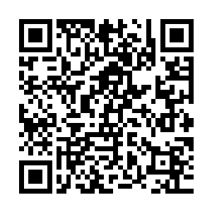 如果说铁胎果提高的是自己身体防御能力和抗打击能力的具体的二维码生成