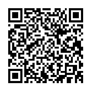 如果说铁血勋章是诺曼帝国帝国为了表彰那些在部队中最勇敢二维码生成