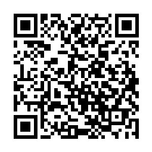 如果说项山这个军团长最初的威信来自老祖们的指派二维码生成