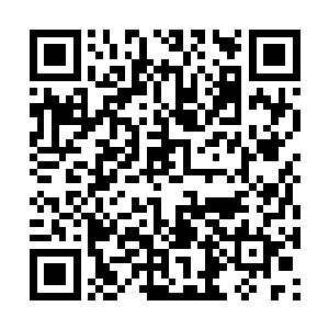 如果说马文是完全违反重力规则在石壁上奔走的话二维码生成