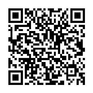 如果说马文率先点燃的秩序火种给人们带来了绝境中的希望的话二维码生成