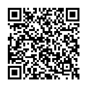 如果诸位长老在元神将一阶还能为神殿再立功勋二维码生成