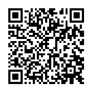 如果贝蒂他们像伽蓝那样见到沈凡灭掉独眼那一幕二维码生成