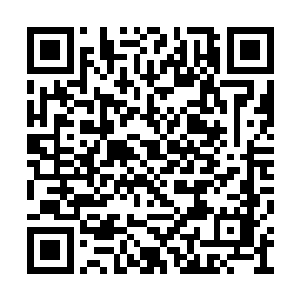如果赤焰不死的话对于人族来说将会是一场大难二维码生成