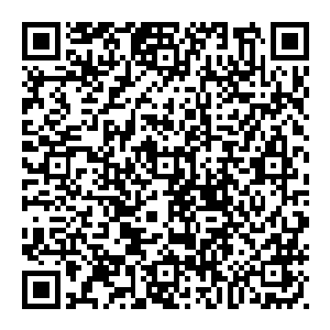 如果距离前线一百多公里的铁角军团的后勤基地都可以任由对方的飞艇来丢个炸弹后什么事都没有再拍拍屁股飞回去的话二维码生成