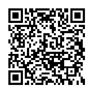 如果运动会她们跑步能够发挥出今天的一半的话二维码生成