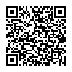 如果还能带上陈雷他们那帮尖子生……那该多愉悦啊二维码生成