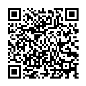 如果这一招要是时云龙这样的第一家族的弟子用出来的话二维码生成