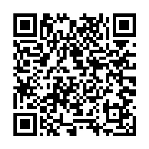 如果这两弟子莽撞地让这两个傀儡和他们对练一下二维码生成