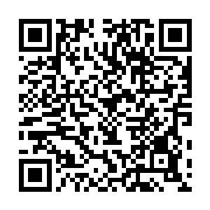 如果这五个修士不是将五属性力量转化成一种属性的力量二维码生成