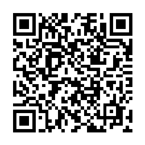 如果这时候来一只知道地形和海兽分布图的海兽就好了二维码生成