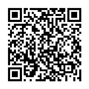 如果这次新进弟子大比之中涌现出来几个突出的人物二维码生成