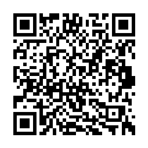 如果这王者之脉和自己本身所在的分脉发生斗争二维码生成