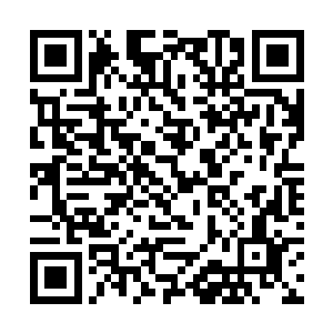 如果连参加会议的时候该做什么不该做什么都不知道二维码生成