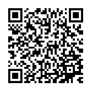 如果连当初最好的朋友都不理的话……那苏落还真的是完全变了二维码生成