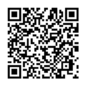 如果连这两个仙医也没有办法祛除毒雾当中蕴含的毒素二维码生成