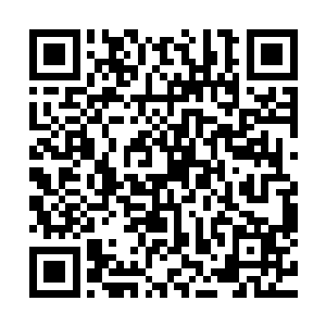 如果迷雾是两个不同位面的法则冲撞所产生的特殊副产品的话二维码生成