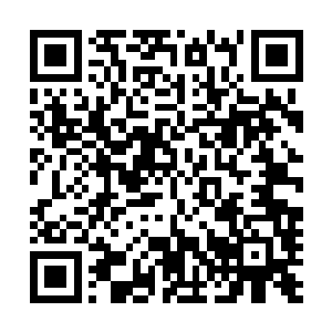 如果通过血液侵入我们的身体会影响我们免疫系统的耐受性二维码生成