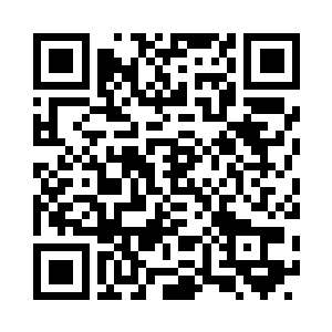 如果道歉有用我们还需要法律做什么二维码生成