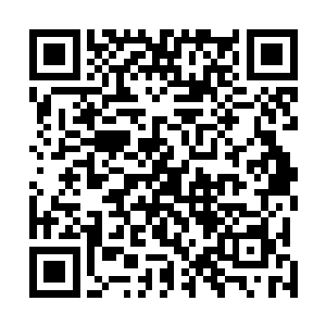 如果那个叫阿基诺的家伙还能想得出用这样得谎话来活命二维码生成