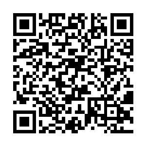如果随便造点东西出来可以等同于一百斤海带的精华二维码生成