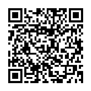 如果面对这万千具有人尊初期巅峰威能的元力巨人二维码生成