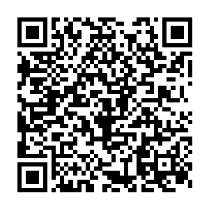 如果飞艇在回程途中再遇到几只不开眼的铁喙鹮之类的怪鸟的袭击二维码生成