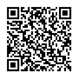 如果龙大哥能帮我打听到任何有关苏雨柔的消息二维码生成