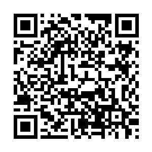 如果龙息这种维护国家安全主权完整的特种部队介入的话二维码生成