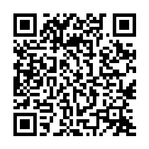 如果1年之内成功那么我这个做弟弟的就送份大礼给嫂子二维码生成