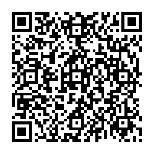如此一幕简直让站在一边的那七名大圣师怀疑剑尘是不是一名天空圣师的绝顶高手二维码生成