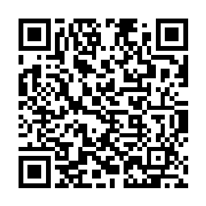 如此一来倒是不用担心对方带着晏子歌等人来对付他们二维码生成