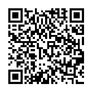 如此一来十六道狂暴的剑气顿时朝着龙傲天的方向笼罩过来二维码生成