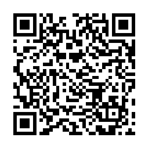 如此他们也相信了没有一个修士能够从这里走出去的传说二维码生成