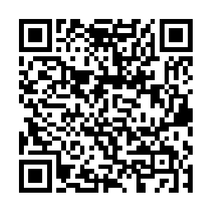 如此可怕的病毒在罗维克上校的嘴里居然成了小宝贝二维码生成