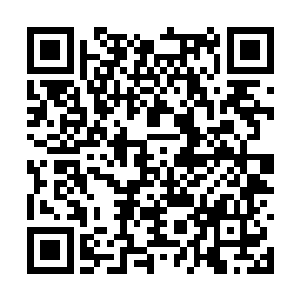 如此就只有等待那些修为低一些的各宗弟子到来了二维码生成