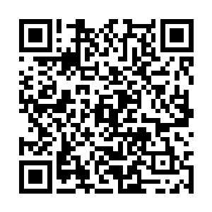 如此年纪便能把山门剑与金乌剑练进了同一式剑招二维码生成