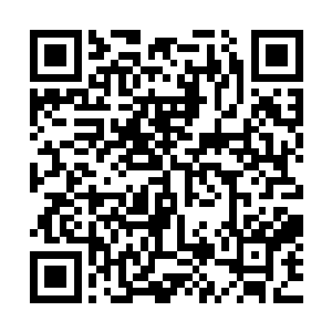 如此庞大的基数想要全部剿灭或者收服确实不是一件简单的事二维码生成