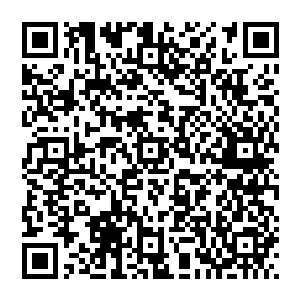 如此强横的力量一般根本就不是这些化神期的修士可以出的而且刚才七人就在他的身边根本就没有动手二维码生成