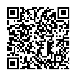 如此恐怖宛若神灵般的孔雀神像在你眼中只是有点厉害二维码生成