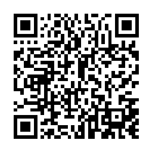 如此戏剧性的比试让所有的观众都不知道说什么好了二维码生成